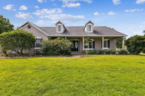 House in New Port Richey, Florida 3 bedrooms, 202.71 sq.m. № 1734499 - photo 1