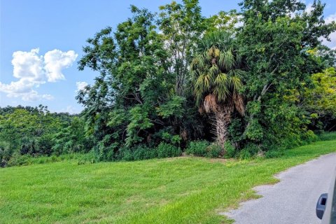 Land in Lady Lake, Florida № 2280567