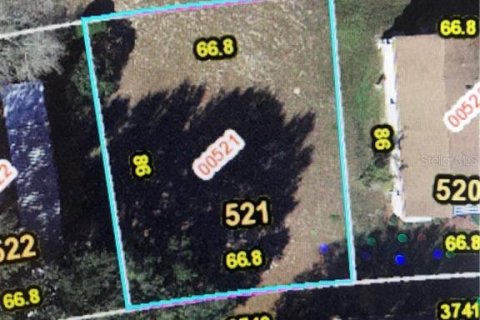 Land in Zellwood, Florida № 2162958