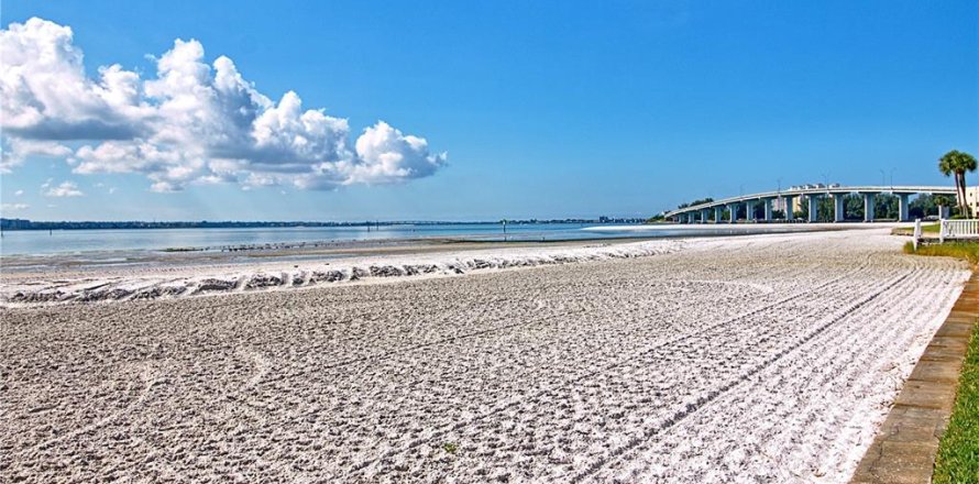 Condo à Clearwater, Floride, 2 chambres № 1347130