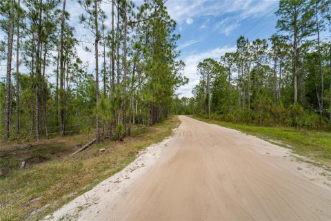 Terreno en venta en Polk City, Florida № 1742777 - foto 9