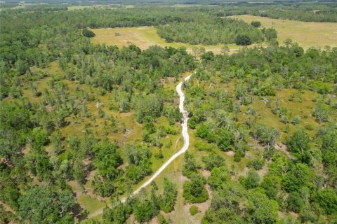 Terreno en venta en Polk City, Florida № 1742777 - foto 23