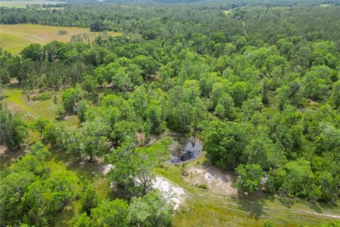 Terreno en venta en Polk City, Florida № 1742777 - foto 15