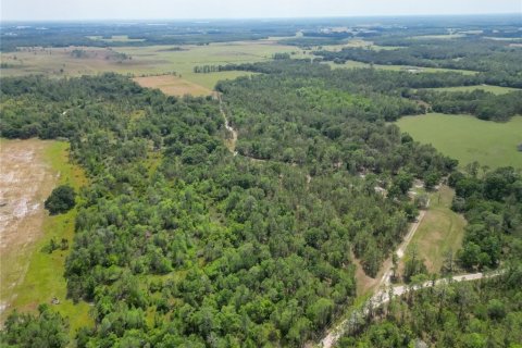 Terreno en venta en Polk City, Florida № 1742777 - foto 20