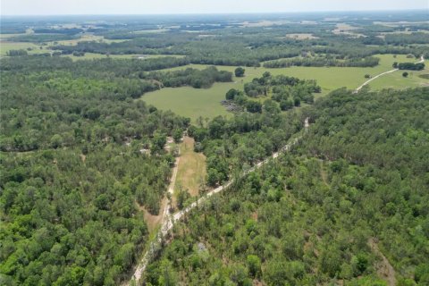 Terreno en venta en Polk City, Florida № 1742777 - foto 19