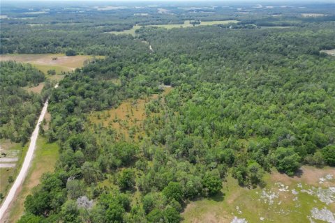 Terreno en venta en Polk City, Florida № 1742777 - foto 16