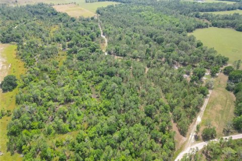 Terreno en venta en Polk City, Florida № 1742777 - foto 21