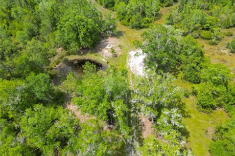 Terreno en venta en Polk City, Florida № 1742777 - foto 13