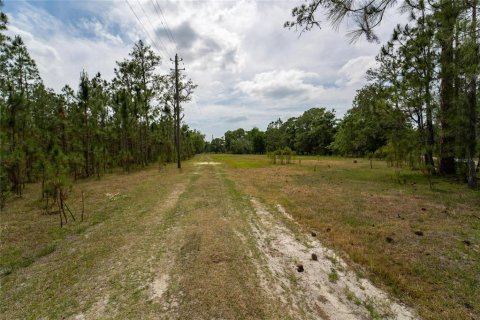 Terreno en venta en Polk City, Florida № 1742777 - foto 7