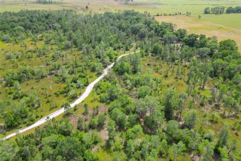 Terreno en venta en Polk City, Florida № 1742777 - foto 28