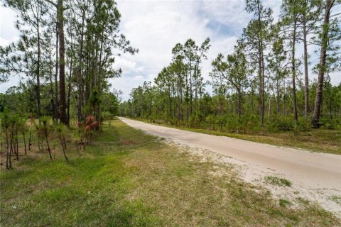 Terreno en venta en Polk City, Florida № 1742777 - foto 8