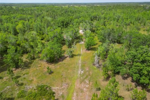 Terreno en venta en Polk City, Florida № 1742777 - foto 12