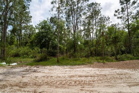 Terreno en venta en Polk City, Florida № 1742777 - foto 5
