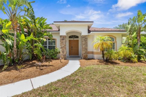 House in Palm Coast, Florida 3 bedrooms, 152.17 sq.m. № 1743274 - photo 2