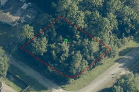 Land in Citrus Springs, Florida № 2205607