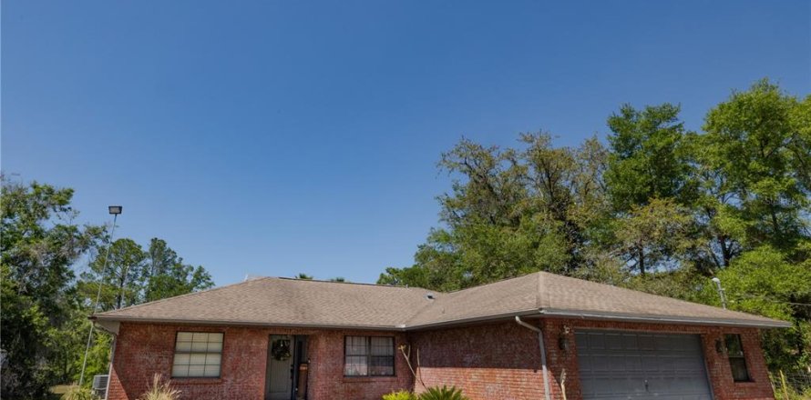 Villa ou maison à Webster, Floride 3 chambres, 141.95 m2 № 1637403