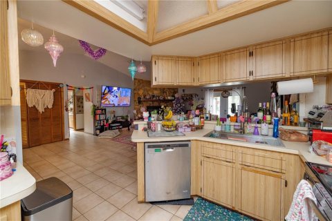 Villa ou maison à vendre à Webster, Floride: 3 chambres, 141.95 m2 № 1637403 - photo 3