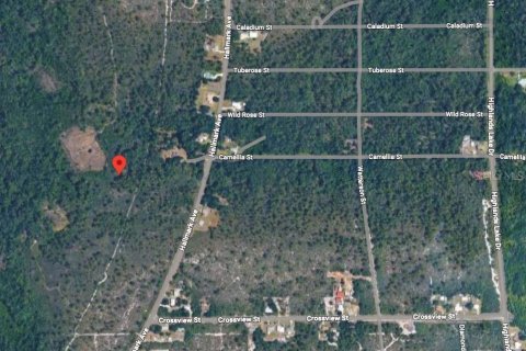 Land in Lake Placid, Florida № 2159714 - photo 2