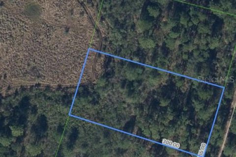 Land in Lake Placid, Florida № 2159714 - photo 3