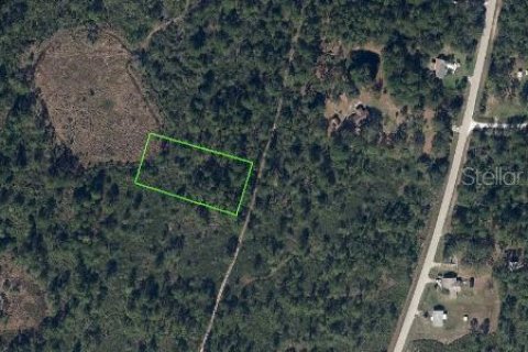 Land in Lake Placid, Florida № 2159714 - photo 4
