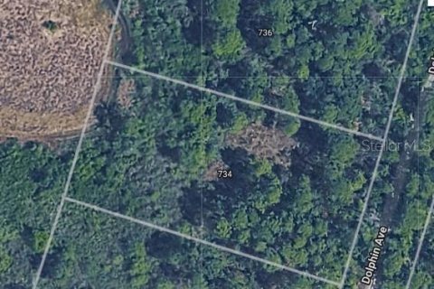 Land in Lake Placid, Florida № 2159714