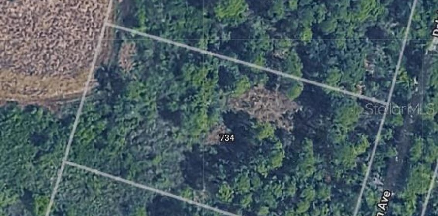 Land in Lake Placid, Florida № 2159714