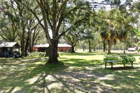 House in Wesley Chapel, Florida 4 bedrooms, 206.8 sq.m. № 1803355 - photo 14