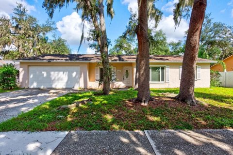 Villa ou maison à Brandon, Floride 3 chambres, 149.11 m2 № 2425487