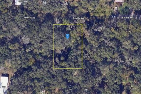 Land in Brandon, Florida № 1845352 - photo 1