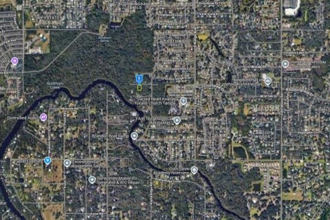Land in Brandon, Florida № 1845352 - photo 3