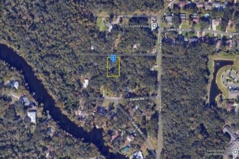Land in Brandon, Florida № 1845352 - photo 2