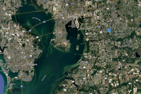 Land in Brandon, Florida № 1845352 - photo 5