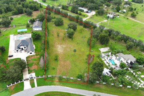 Terreno en venta en Eustis, Florida № 1912043 - foto 1
