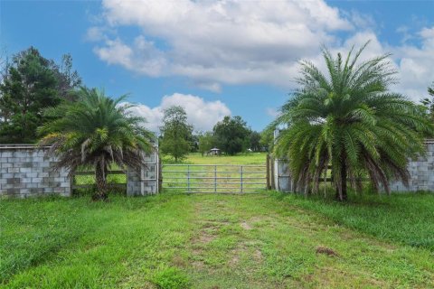 Terreno en venta en Eustis, Florida № 1912043 - foto 3