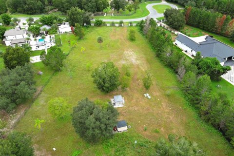 Terreno en venta en Eustis, Florida № 1912043 - foto 5