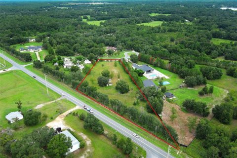 Terreno en venta en Eustis, Florida № 1912043 - foto 14