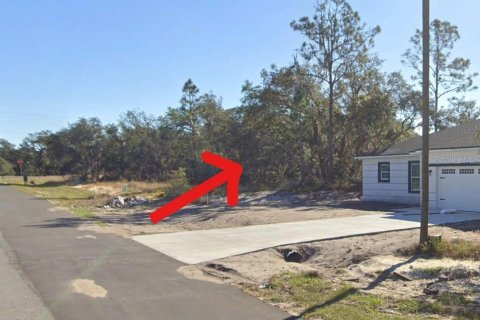 Land in Kissimmee, Florida № 2258707 - photo 4