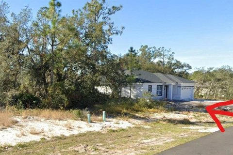 Land in Kissimmee, Florida № 2258707 - photo 2