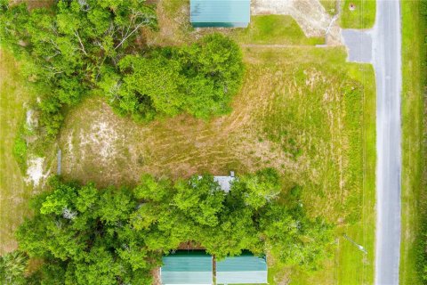 Land in Steinhatchee, Florida № 1242953 - photo 12