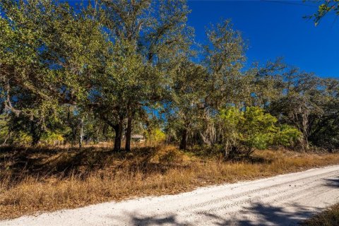 Terrain à vendre à Punta Gorda, Floride № 2233121 - photo 4