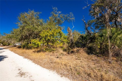 Terrain à vendre à Punta Gorda, Floride № 2233121 - photo 6