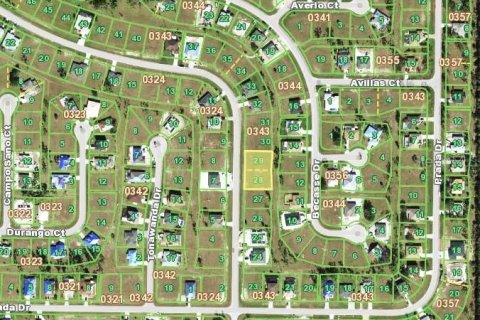 Land in Punta Gorda, Florida № 1914931 - photo 3