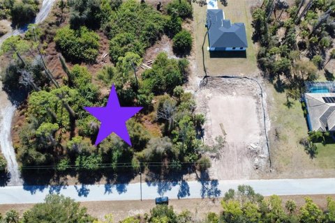 Land in Port Charlotte, Florida № 2163348