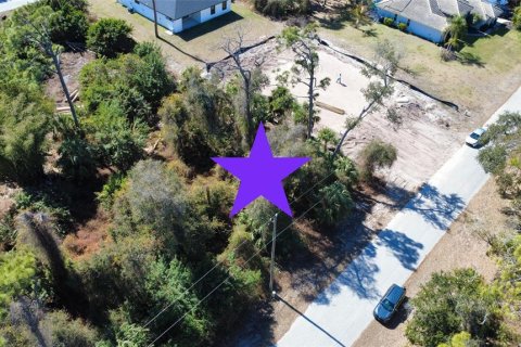 Land in Port Charlotte, Florida № 2163348 - photo 2