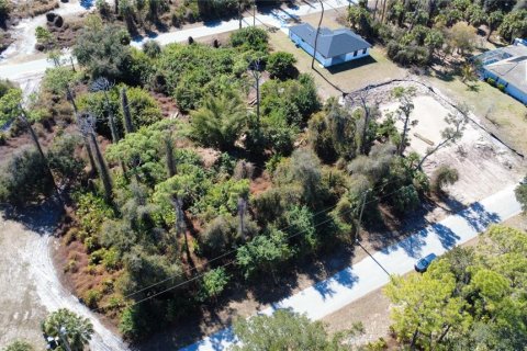 Land in Port Charlotte, Florida № 2163348 - photo 4