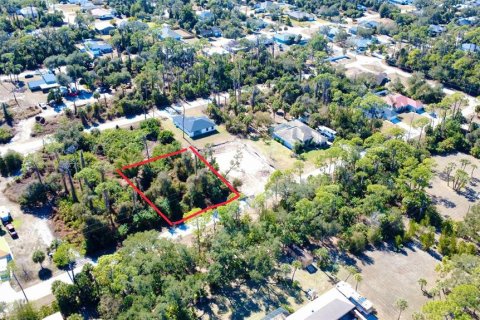 Land in Port Charlotte, Florida № 2163348 - photo 7