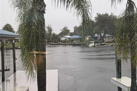 House in Crystal River, Florida 3 bedrooms, 285.4 sq.m. № 2287161 - photo 6