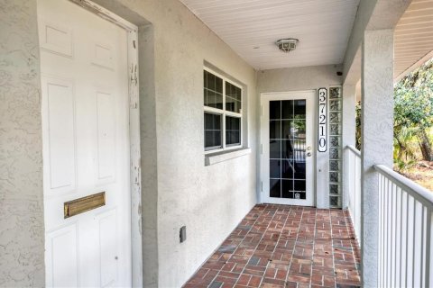 Commercial property in Myakka City, Florida 310.11 sq.m. № 2213890 - photo 9