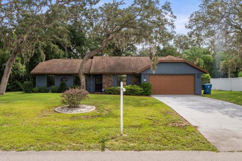 Villa ou maison à vendre à Spring Hill, Floride: 2 chambres, 126.9 m2 № 1850997 - photo 1
