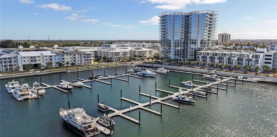 Condo in Tampa, Florida, 4 bedrooms  № 2315112